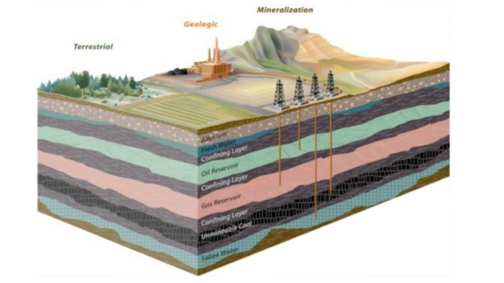 Earth's Fossil Fuel Layers